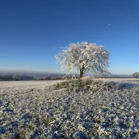 Apartment Haus Auenland Gross Felda