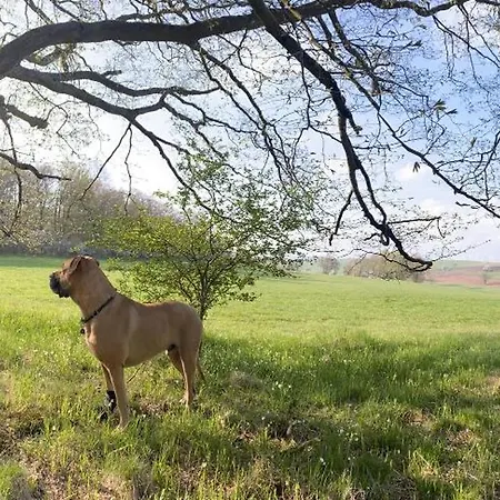 Haus Auenland * Gross Felda