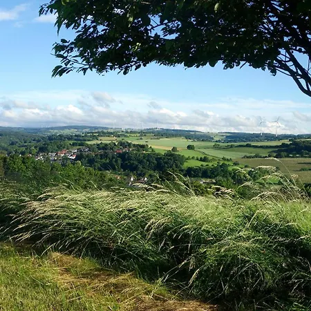 Haus Auenland Apartment *