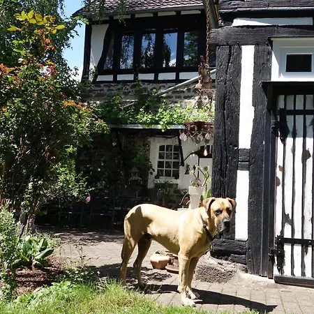 Haus Auenland Gross Felda