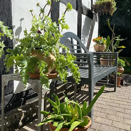 Apartment Haus Auenland