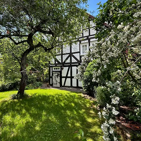 Haus Auenland Apartament *
