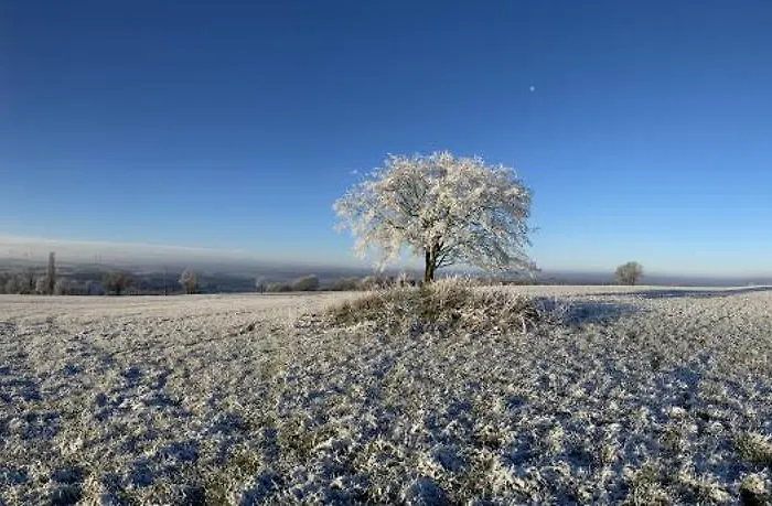 Appartement Haus Auenland Gross Felda