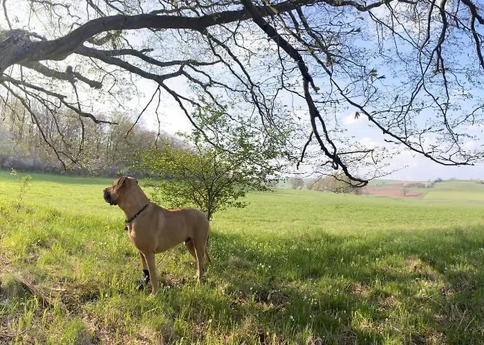 Haus Auenland * Gross Felda