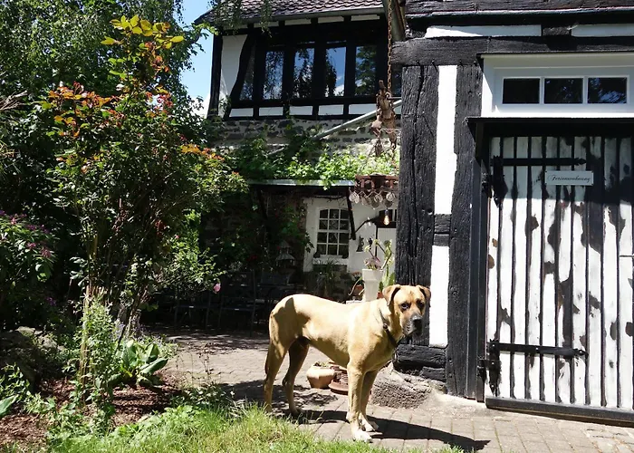 Haus Auenland Gross Felda